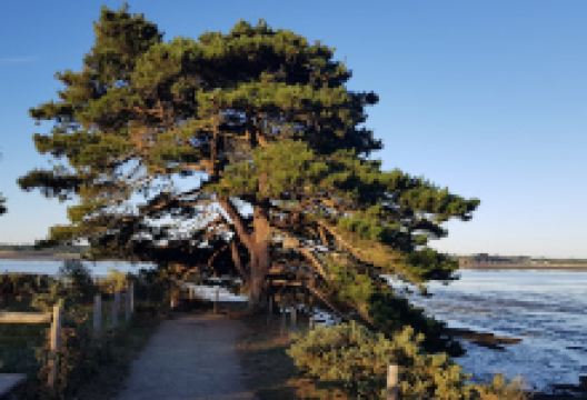 Camping Farm Pen-Be景点图片