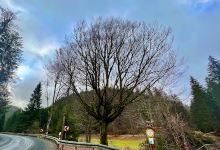 Historischer Goldwaschplatz Kugelbaum bei Steinheid景点图片