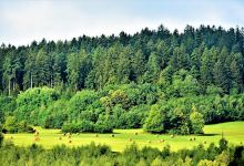 Štiavnický potok stretává Hričovský kanál景点图片