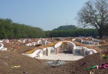 Surarai Shrine景点图片
