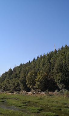 Savrun Stream-卡迪尔利