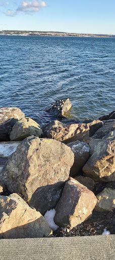 Indian Beach-布雷顿角地区