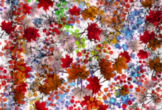 Square Ferdinand Delcroix景点图片