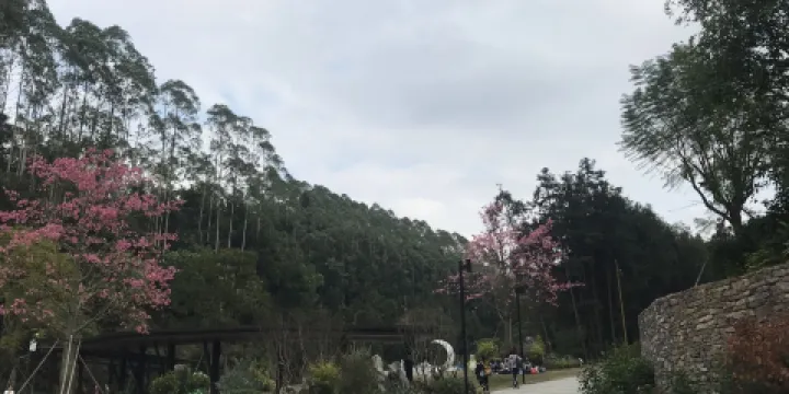 高峯森林公園-星月湖