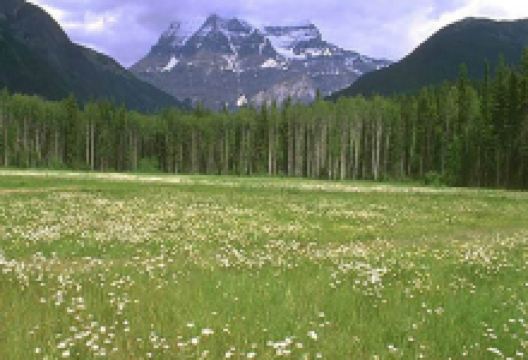 甘孜下拥自然保护区景点图片