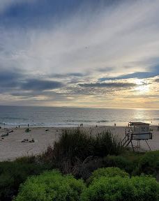 Salt Creek Beach-达纳点