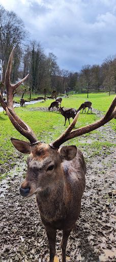 Bilsteintal: Tropfsteinhöhle und Wildpark in Warstein-瓦尔施泰因