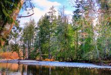 Riverbend Cottage & RV Resort景点图片