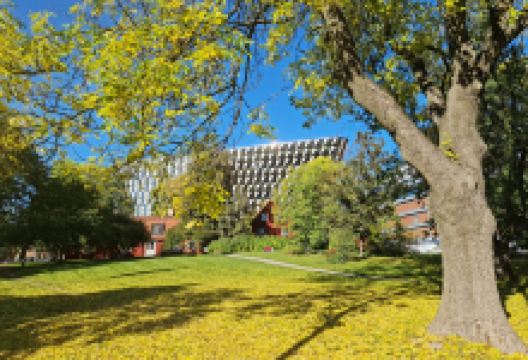 卡罗琳斯卡医学院景点图片