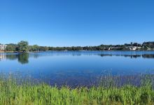 Cameron Park Lake景点图片