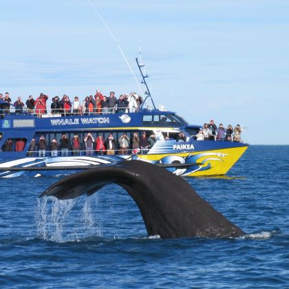 新西兰基督城+皇后镇10日8晚私家团