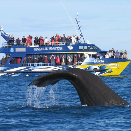 新西兰基督城+皇后镇10日8晚私家团