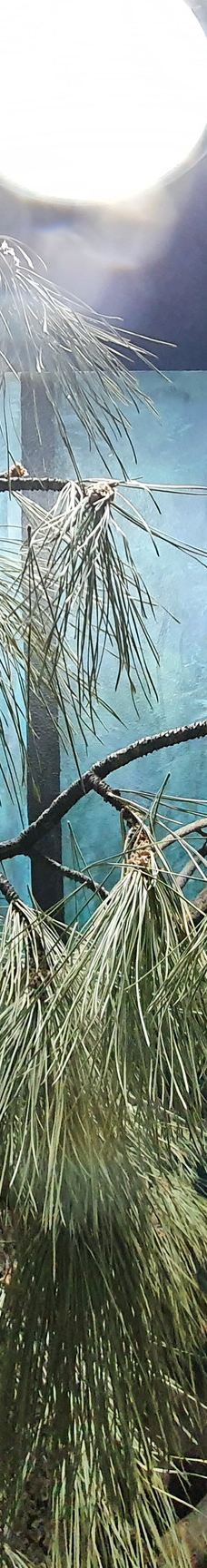 大熊湖动物园-大熊湖