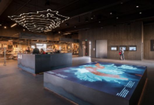 Lava Centre景点图片