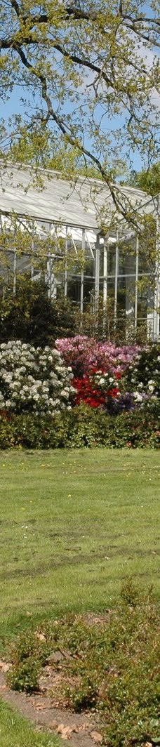 Geografisk Have-科灵