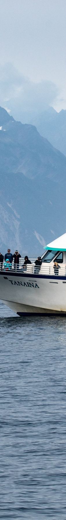 Kenai Fjords Tours-西沃德