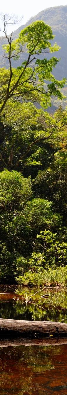 Amboro National Park-圣克鲁斯