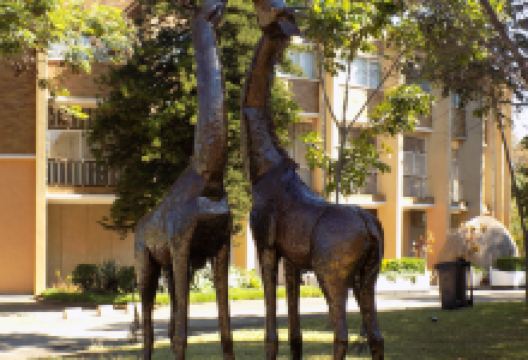 Natural History Museum景点图片