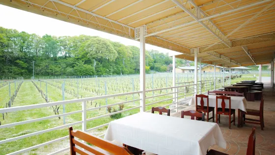 Azumino Winery