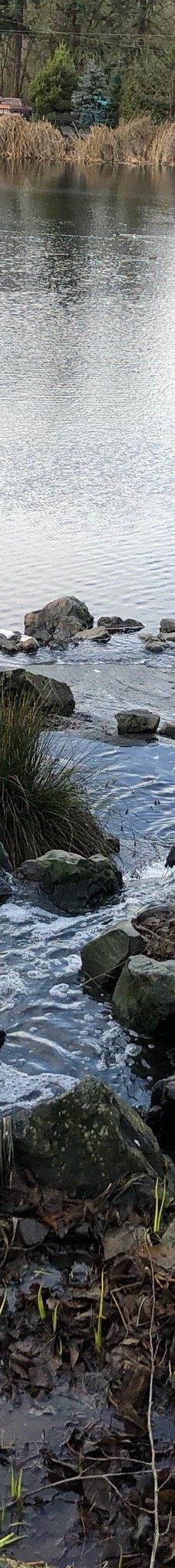 Talking Water Gardens-奥尔巴尼