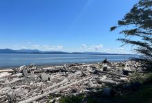 Rebecca Spit Marine Provincial Park景点图片