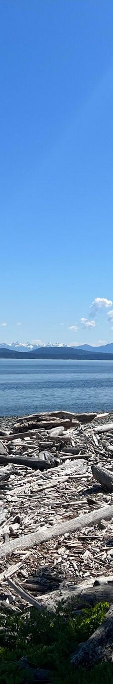 Rebecca Spit Marine Provincial Park-奎德拉岛