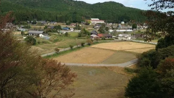 亀山城跡