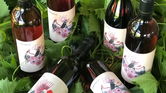 Burrundulla Wines