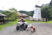 Ayabe Fureai Farm景点图片