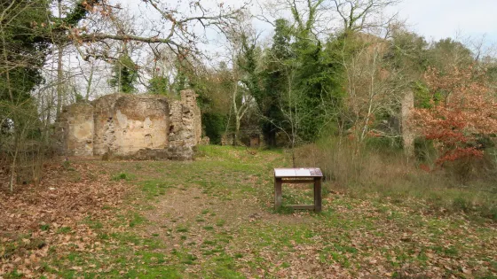 Sito di Santa Maria