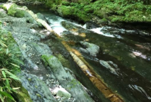 Jaishi (Snake Stone)景点图片