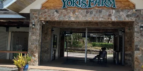 Yoki's Farm