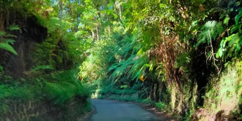 Erek-Erek Jungle Park