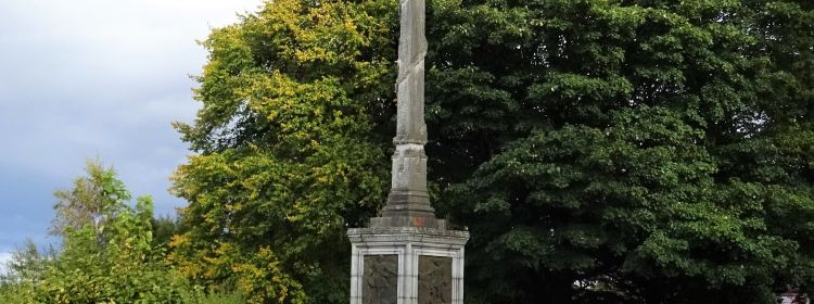 1352161235
