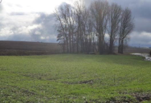 Source de la Thisnes景点图片