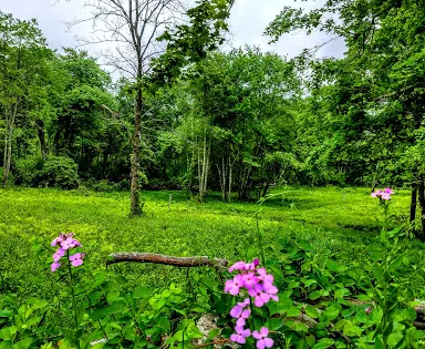 Moose Hill Farm