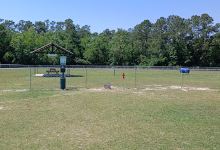 D'Iberville Dog Park景点图片