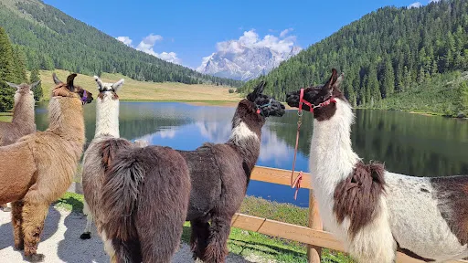 Lago di Calaita