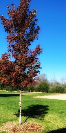Blue Heron Park-杰克逊县