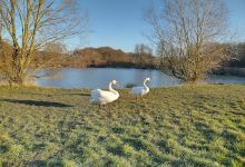 Cherry Orchard Lake景点图片