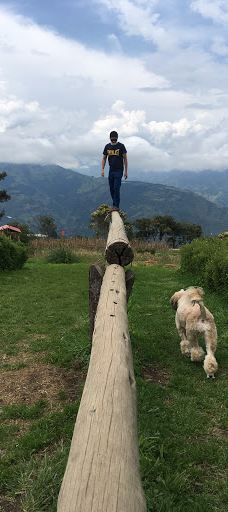 La Casa del Arbol-巴尼奥斯县