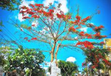 Nhà thờ An Điền景点图片