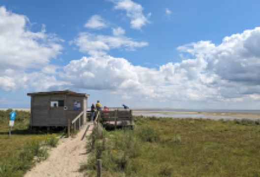 Seehundbänke Langeoog景点图片