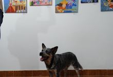 Círculo Cromático景点图片