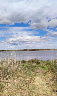 Camping Montpellier Plage-帕拉瓦莱弗洛