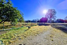 David W Coultas Park景点图片