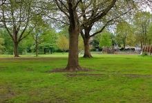 Cator Lane Recreation Ground景点图片