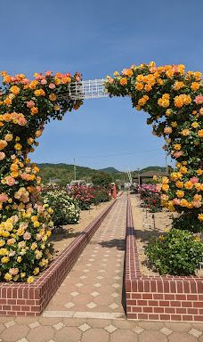 Yoshiumi Rose Park-今治市