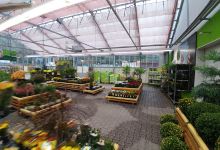 Dehner Garden and Pet Center购物图片