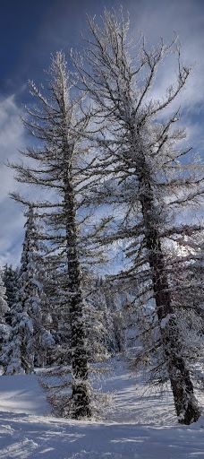 Sugar Bowl Resort-普莱瑟县